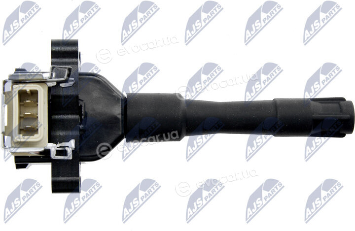 NTY ECZ-BM-010