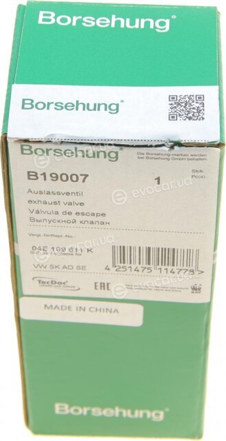 Borsehung B19007