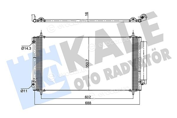 Kale 352590