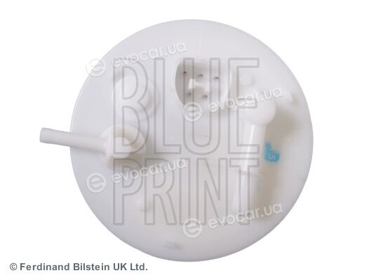 Blue Print ADC42369