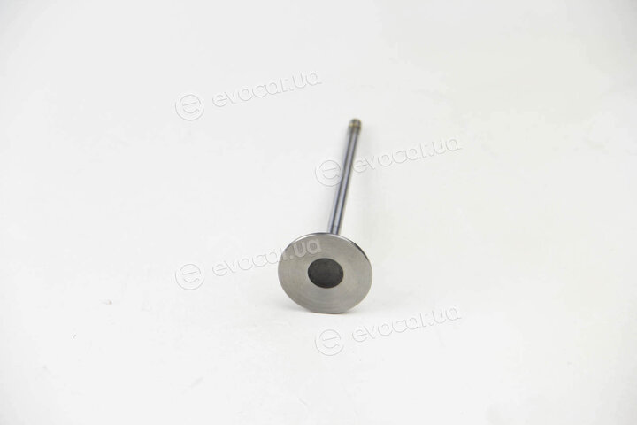 BGA V166030