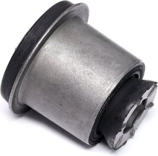 Sasic 2250011