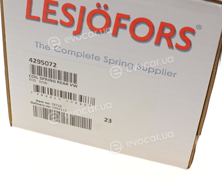Lesjofors 4295072