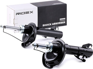 Ridex 854S1984