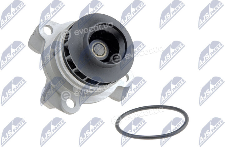 NTY CPW-NS-081