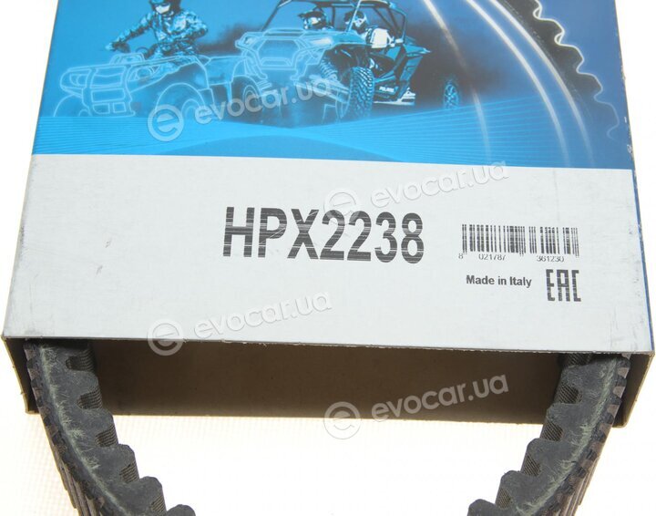 Dayco HPX2238