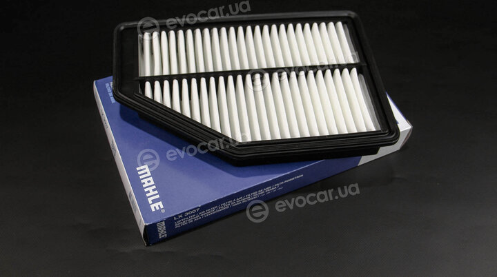 Mahle LX 3007