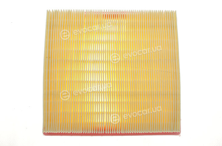 Solgy 103126