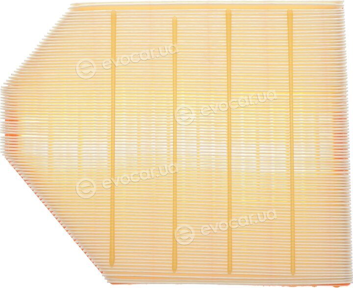 Hengst E1081L