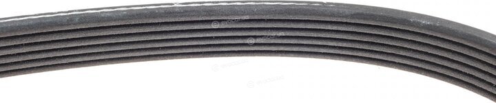 Dayco 6PK2440