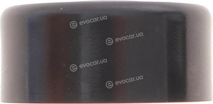 Bosch 1 987 600 045