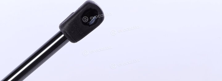 Lesjofors 8144245