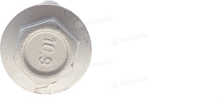 Solgy 204217
