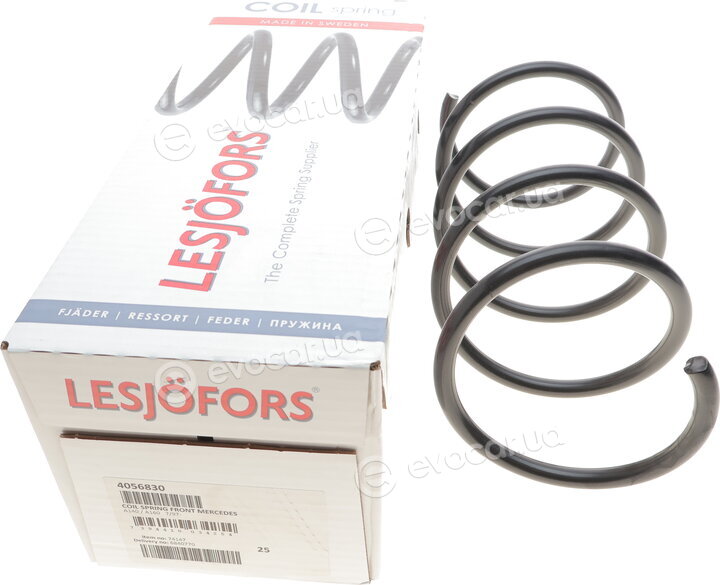 Lesjofors 4056830