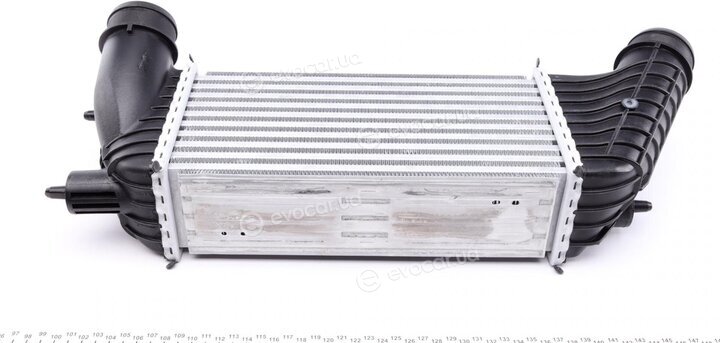 Mahle CI 181 000P