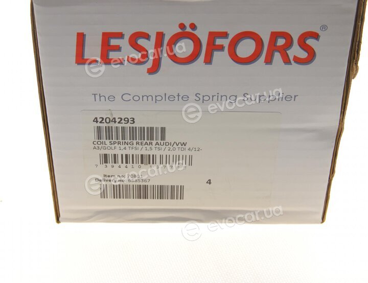 Lesjofors 4204293