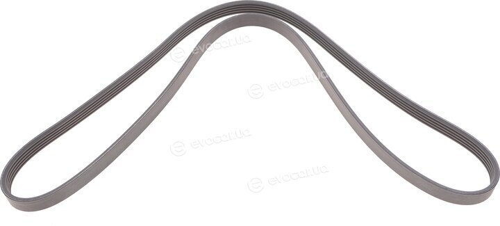 Continental 5PK1427