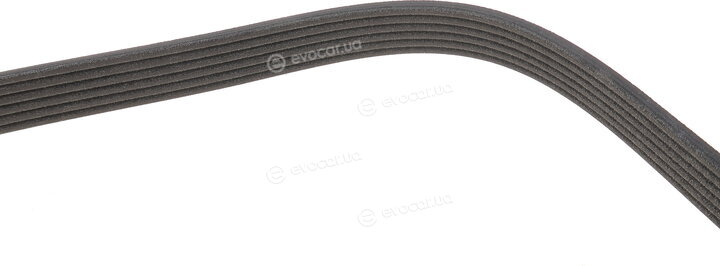 Dayco 6PK1120S
