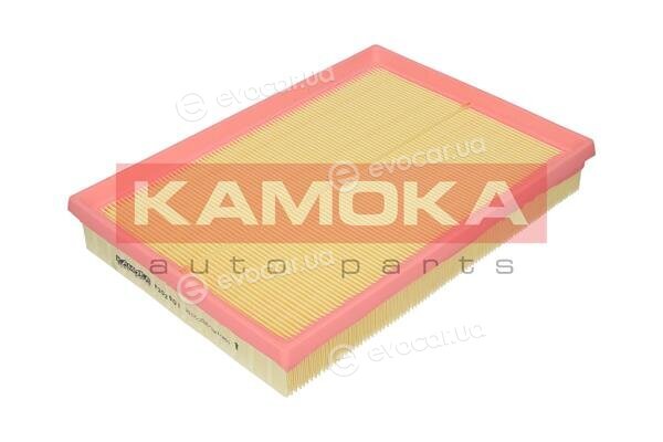 Kamoka F202901