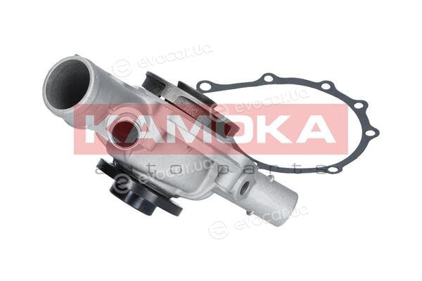 Kamoka T0197
