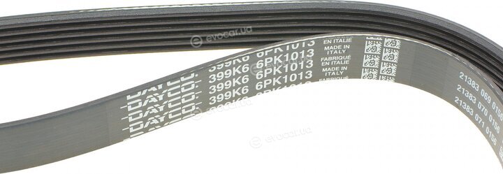 Dayco 6PK1013