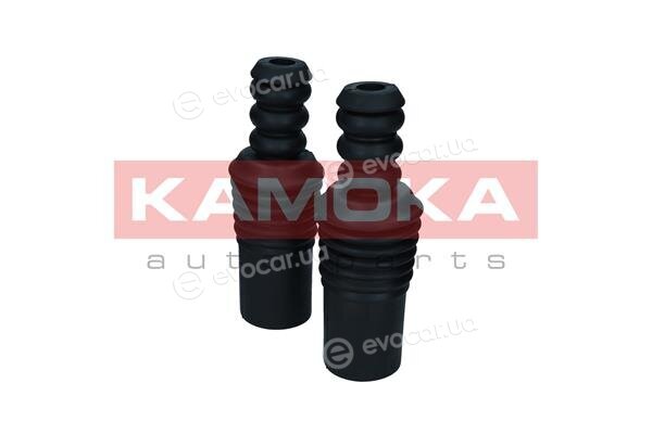 Kamoka 2019237