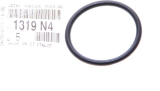 Mopar (PSA / FCA) 1319N4