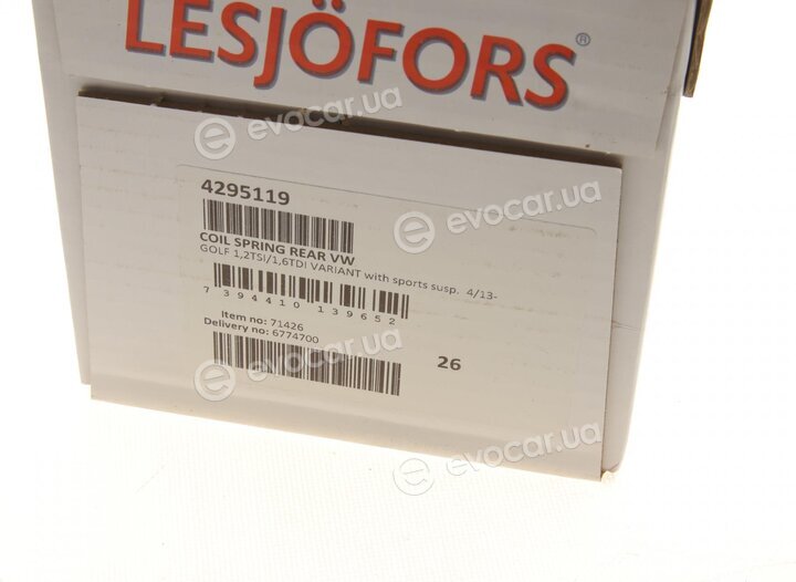 Lesjofors 4295119