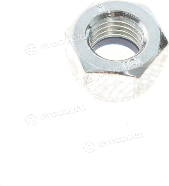 Solgy 203116