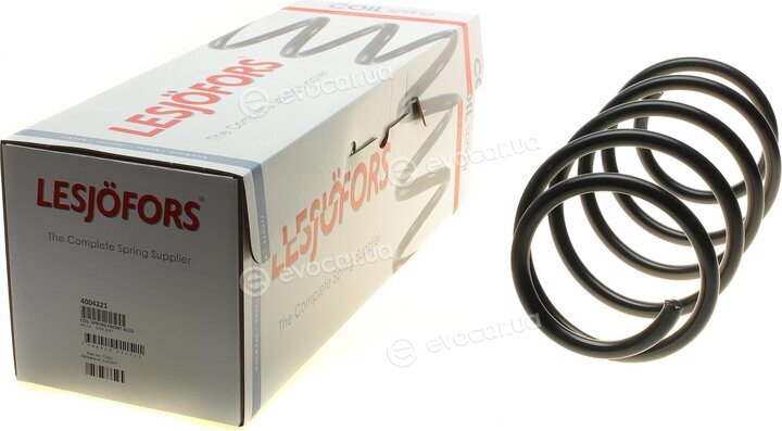 Lesjofors 4004221