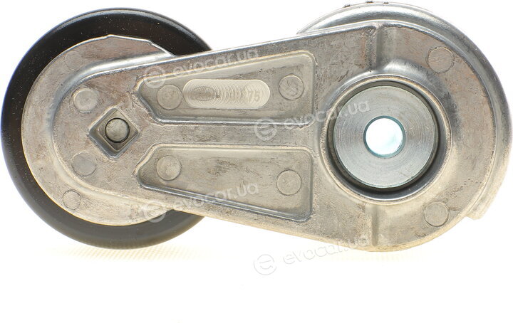 Dayco KPV521