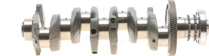 Motus MTS 1300