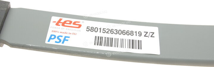 TES 58015263066819 Z/Z