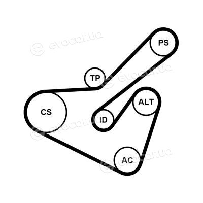 Continental 6PK1725K2