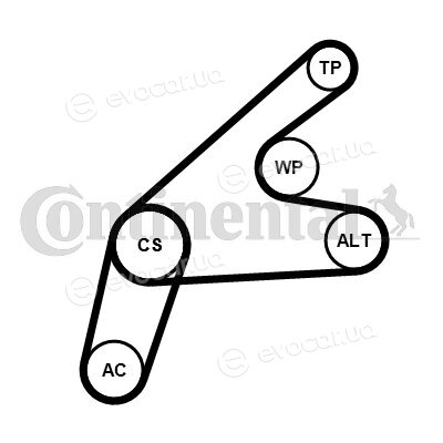 Continental 6PK1306K3