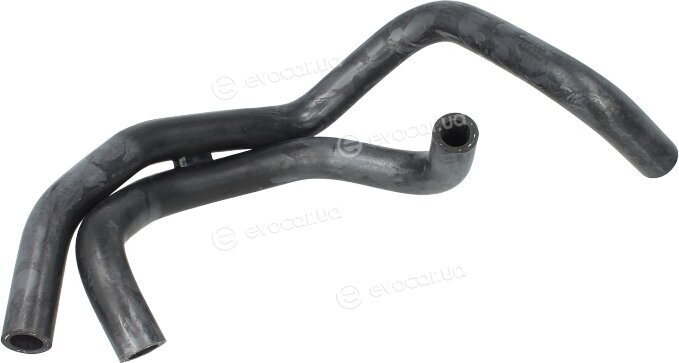 Sasic 3406044