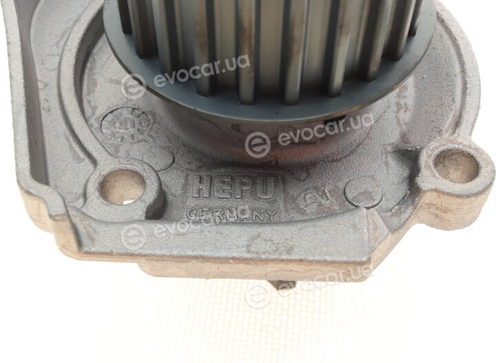 Hepu P1201