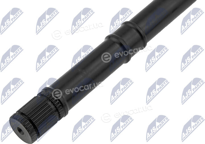 NTY NWP-NS-007