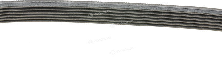 Continental 6PK2000