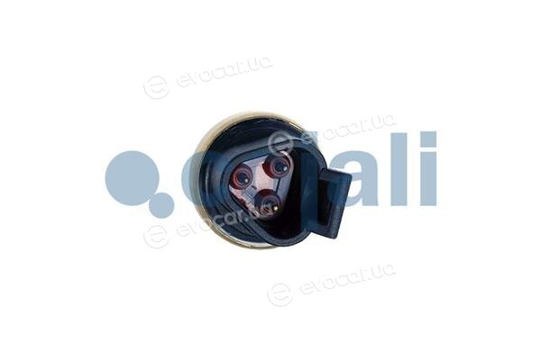 Cojali 2263023