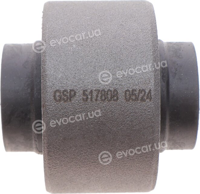 GSP 517808