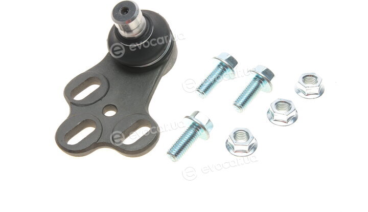 Solgy 203076