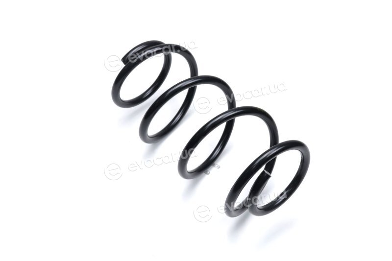 Lesjofors 4062074