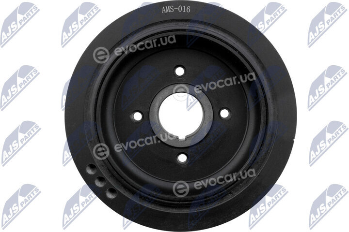 NTY RKP-MS-016
