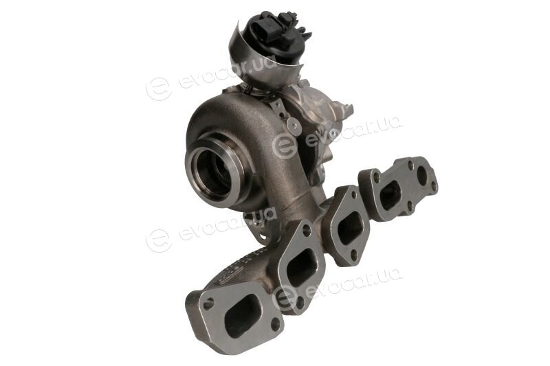 BorgWarner 53039880621