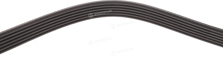 Dayco 6PK1285