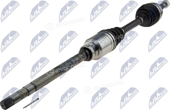 NTY NPW-CT-026