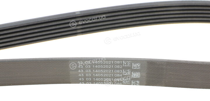 Continental 6PK1502 EXTRA