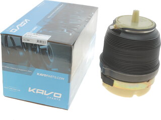 Kavo SAS-10009