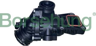 Borsehung B10559